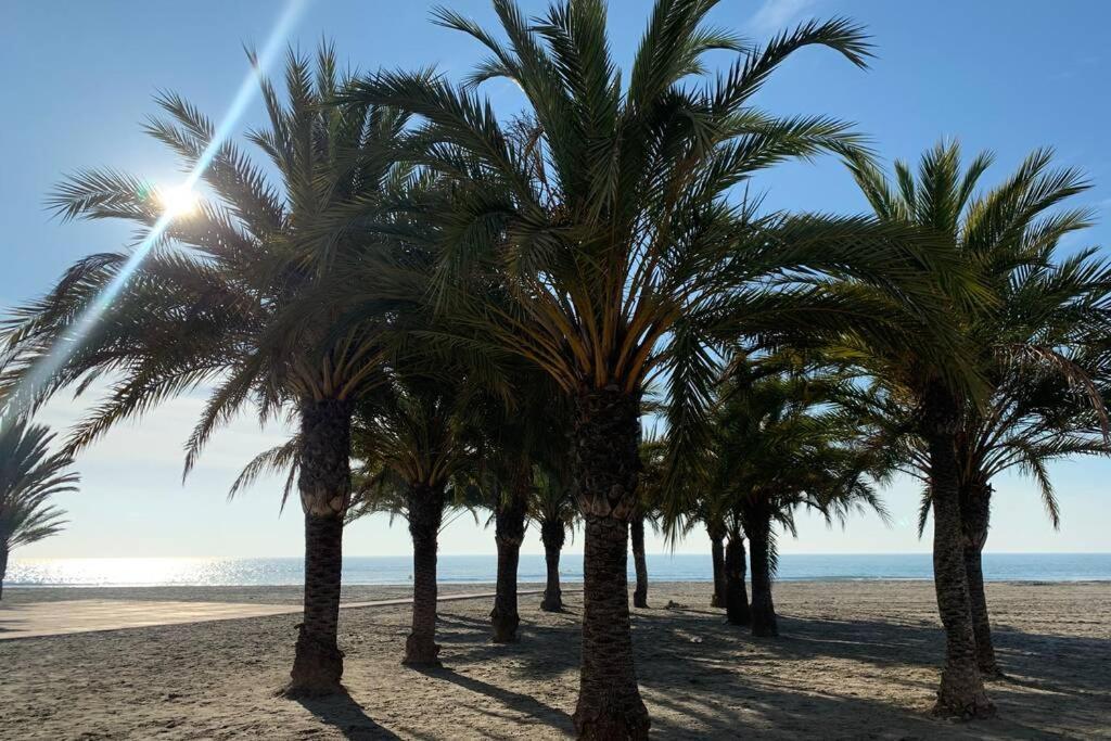Alicante, Bord De Plage, 3 Chambres Санта Пола Екстериор снимка
